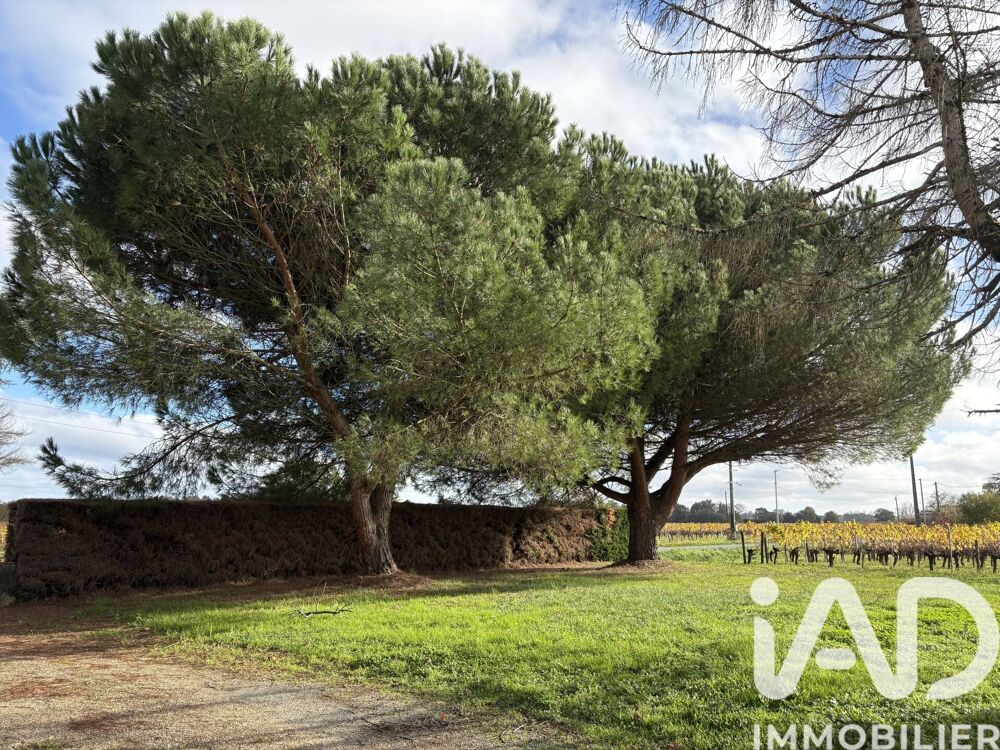 Vente Maison Vente Domaine 5 pièces Lussac