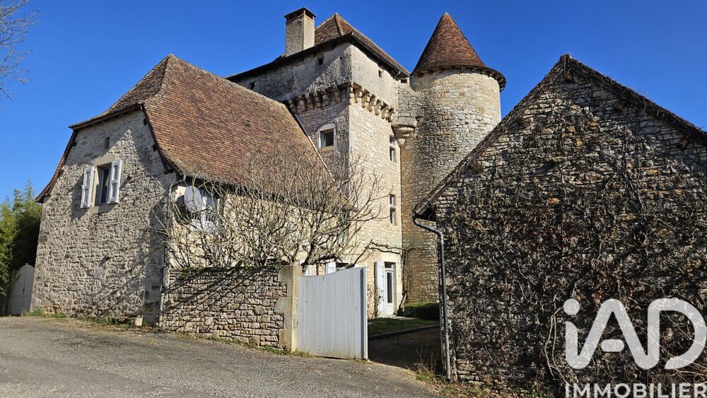 Vente Maison Vente Château 10 pièces Ambeyrac
