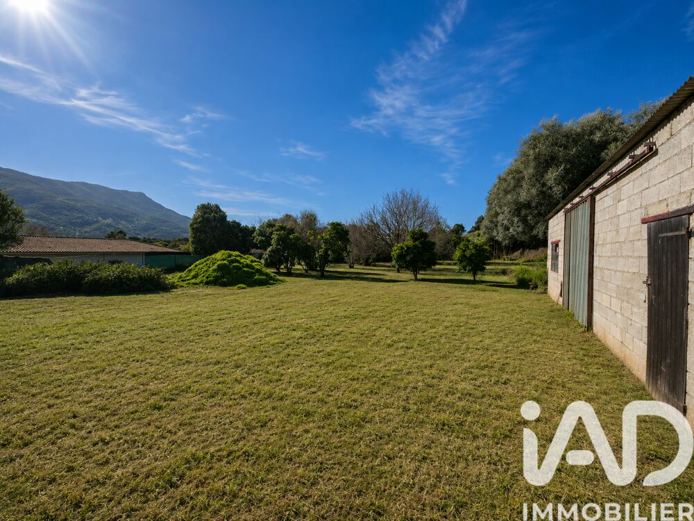à vendre  Maison Peri (20167)