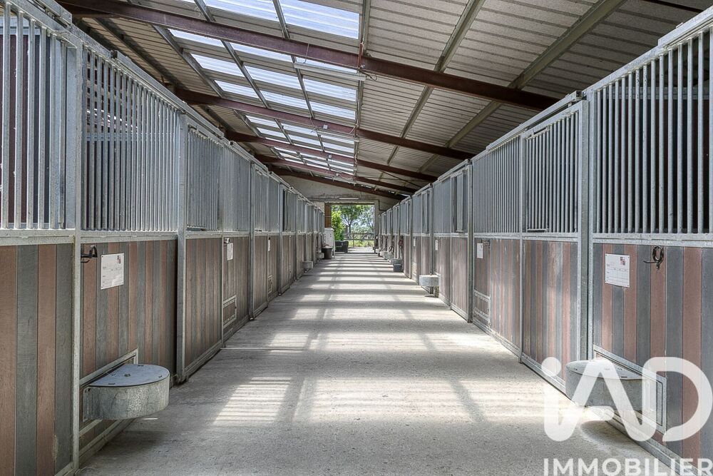 à vendre  Maison Rabastens-de-Bigorre (65140)