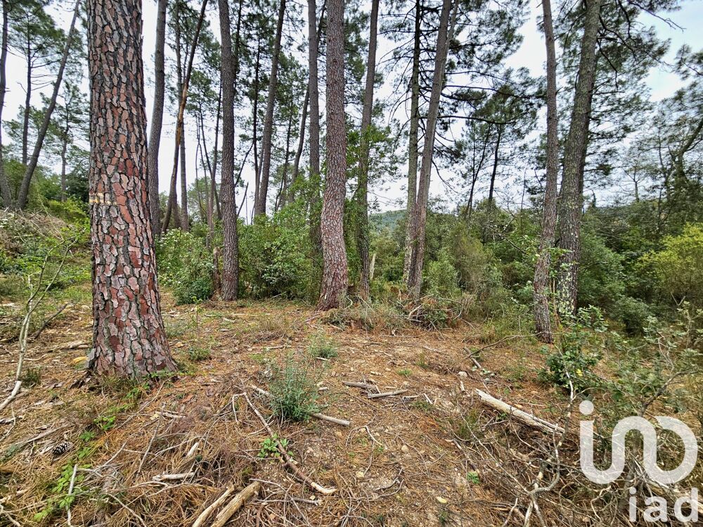Vente Terrain Vente Terrain 3 550 m&sup2; Branoux-les-taillades