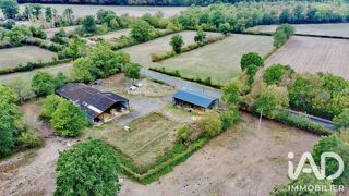  Terrain à vendre 31145 m²