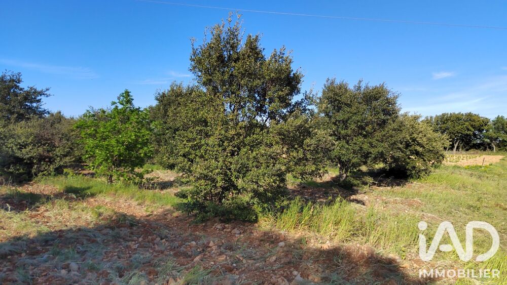 Vente Terrain Vente Truffière 4 300 m&sup2; Sérignan-du-comtat