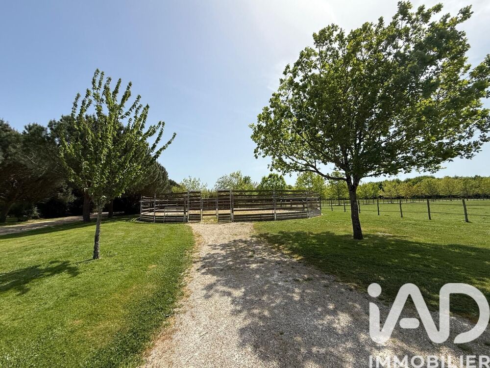 à vendre  Maison Montpon-Ménestérol (24700)