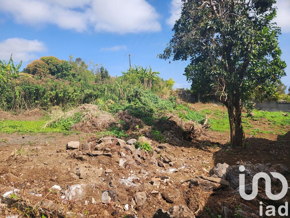 Vente Terrain Vente Terrain 435 m&sup2; Le tampon