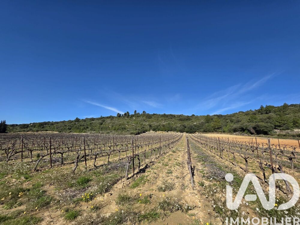 Vente Terrain Vente Terrain agricole 10 170 m&sup2; Saint-saturnin-de-lucian