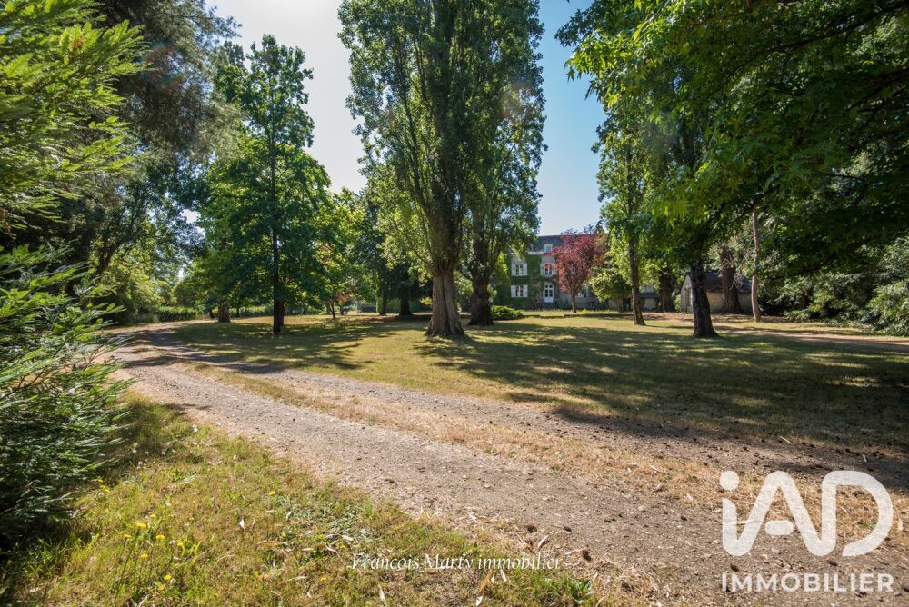 à vendre  Maison Cantenay-Épinard (49460)