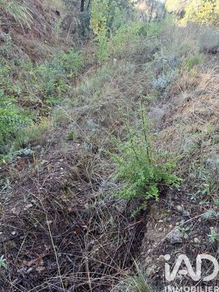 Vente Terrain 1031 m², Colomars
