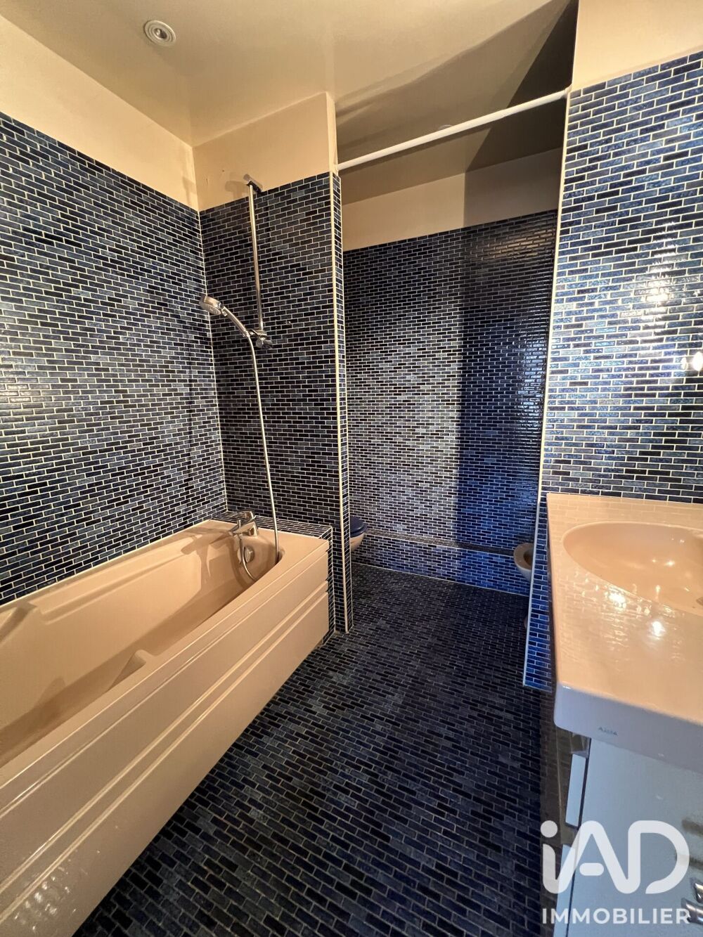 à vendre  Appartement Saint-Mandé (94160)