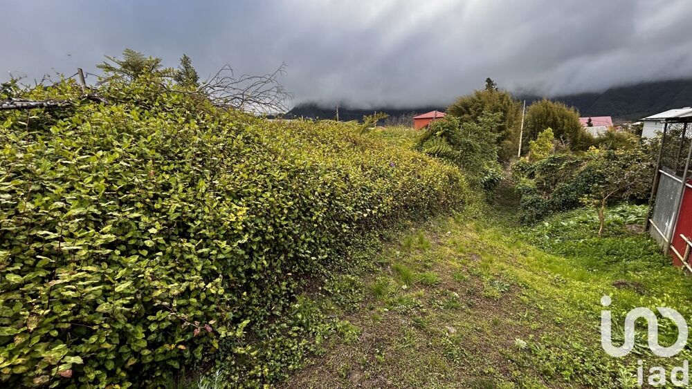 vente Terrain - 7682 m² La Plaine-des-Palmistes (97431)