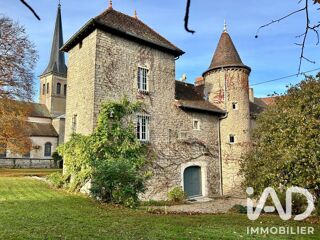Vente Maison Vente Château 15 pièces Pagney