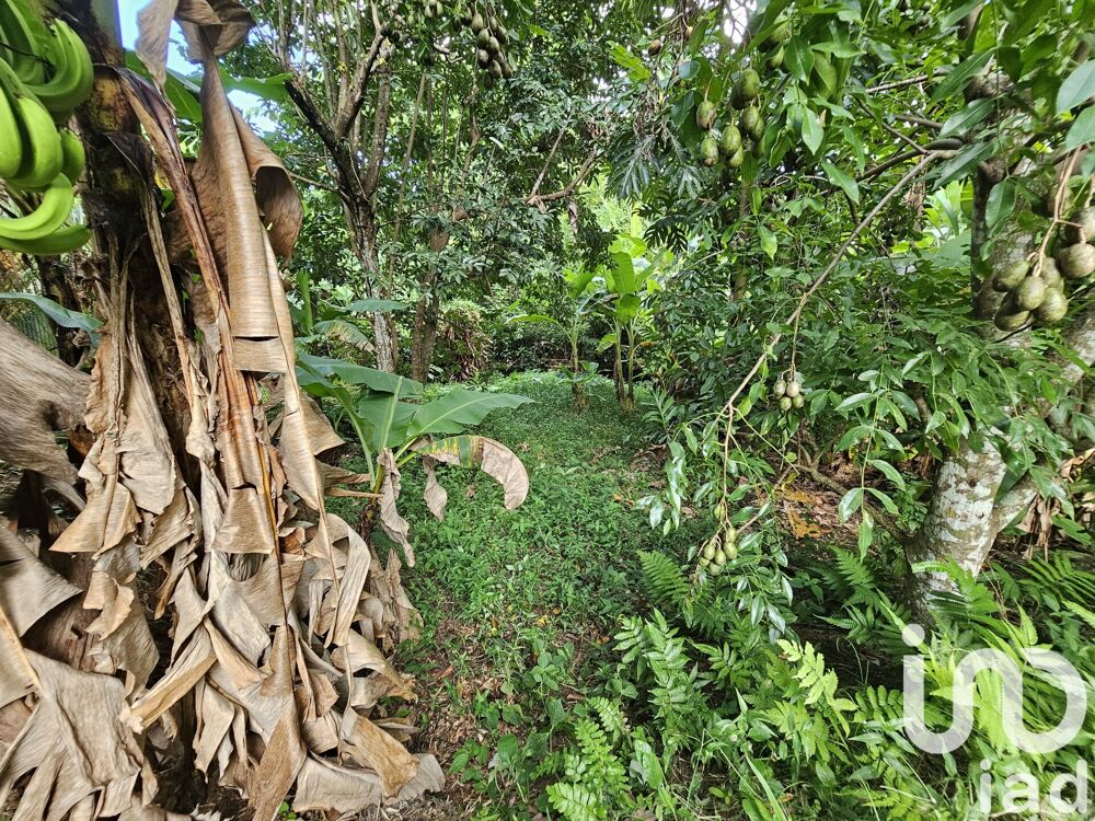 Vente Terrain Vente Terrain à bâtir 1 061 m&sup2; Le lamentin