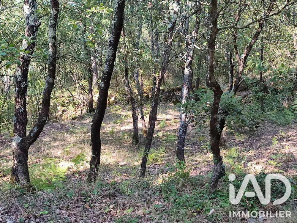 Vente Terrain Vente Terrain 5 647 m&sup2; Saint-laurent-le-minier