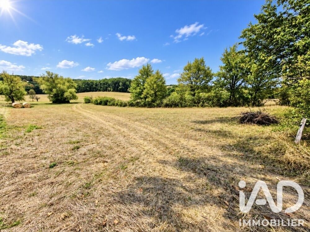 Vente Terrain Vente Terrain à bâtir 2 512 m&sup2; Sigoulès et flaugeac