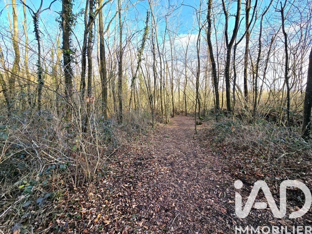 Vente Terrain Vente Terrain 22 165 m&sup2; Capvern
