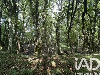  Terrain à vendre 11070 m²