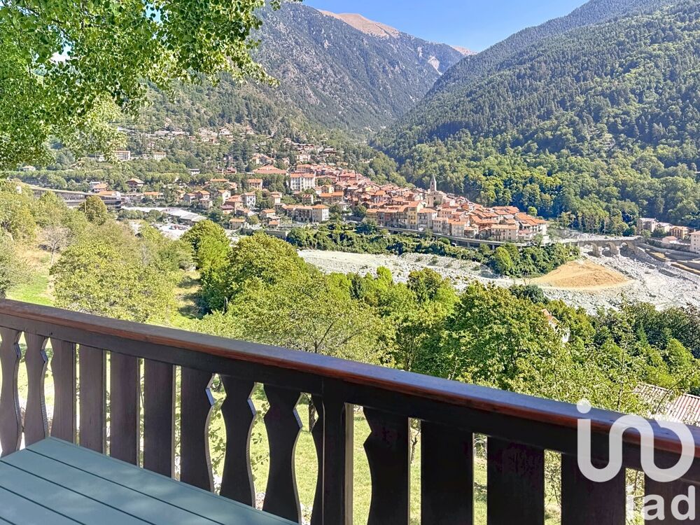 Vente Autre Vente Gîte 4 pièces Saint-martin-vésubie