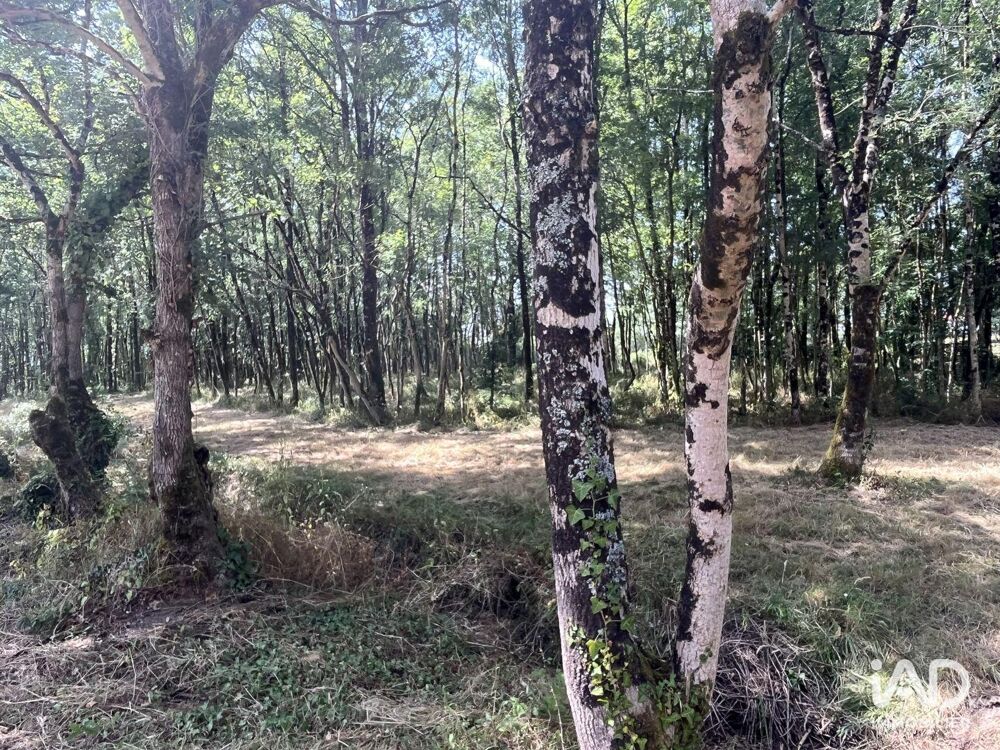 Vente Terrain Vente Terrain 7 530 m&sup2; La garnache
