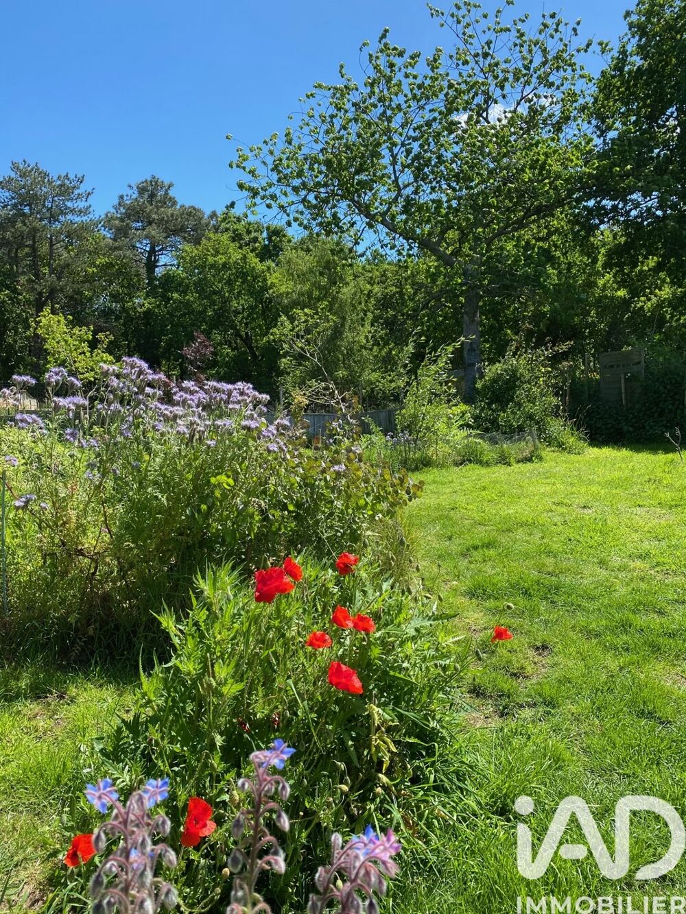 Vente Maison Vente Maison/villa 5 pièces Plouézec