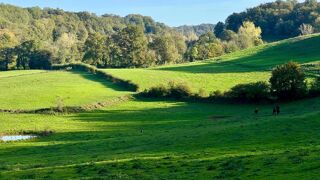  Maison � vendre 8 pi�ces 315 m�