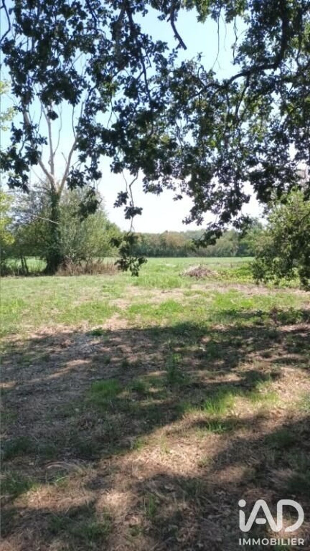 Vente Terrain Vente Terrain à bâtir 932 m&sup2; Tercé