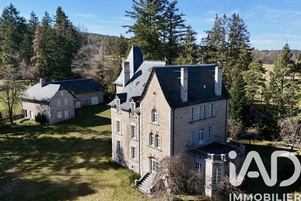 Vente Château 21 pièces