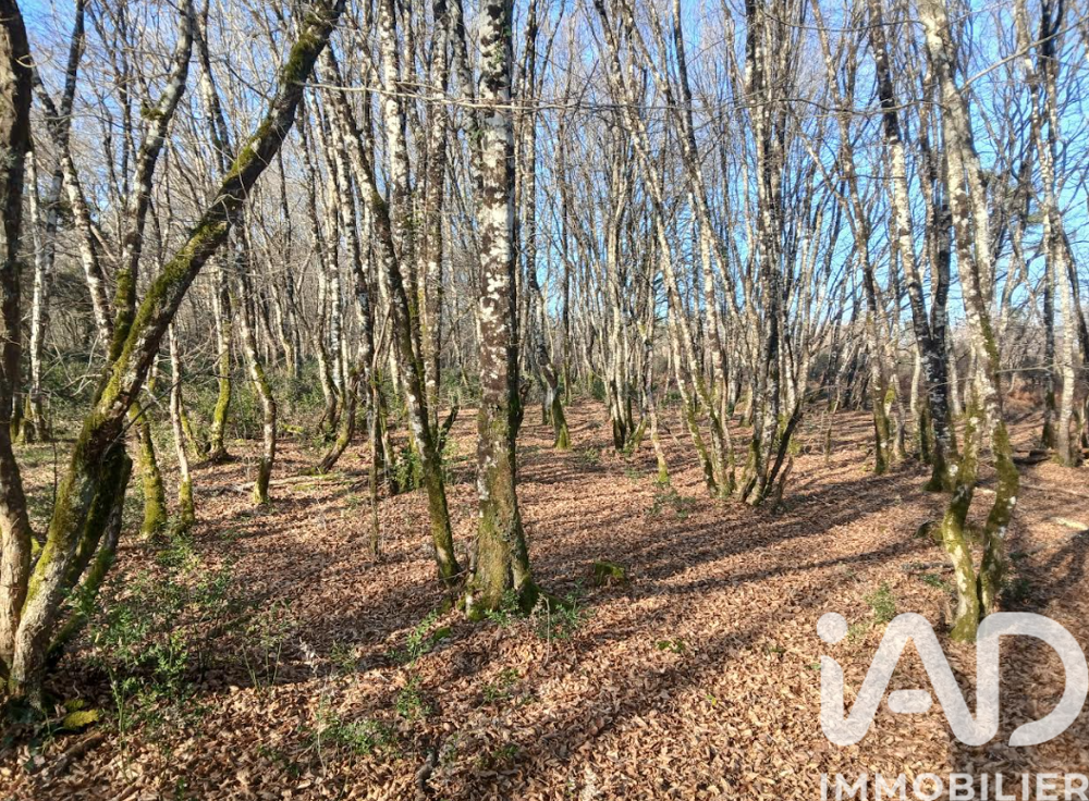 Vente Domaine 11 pièces