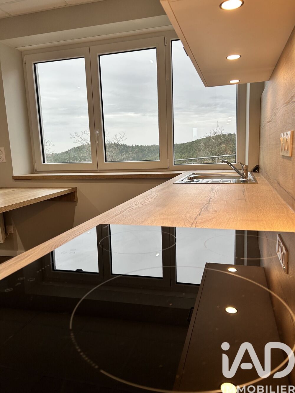 location Appartement - 2 pièce(s) - 31 m² Dabo (57850)
