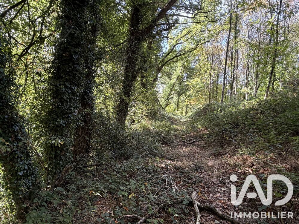 Vente Terrain Vente Surface diverse 45 000 m&sup2; Plounévez-quintin