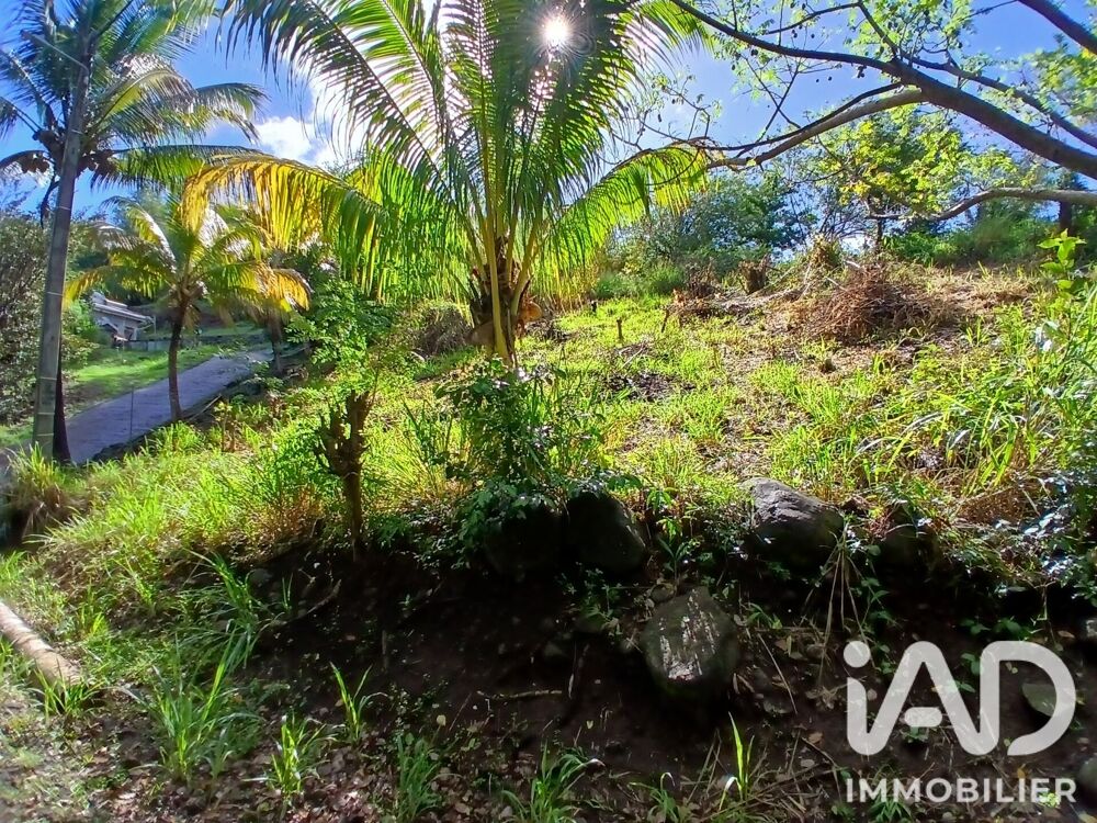 Vente Terrain Vente Terrain 800 m&sup2; Rivière-pilote