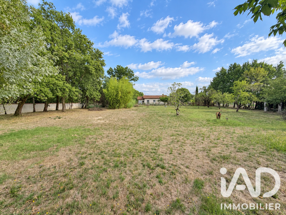 Vente Terrain Vente Terrain 2 000 m&sup2; Montauban