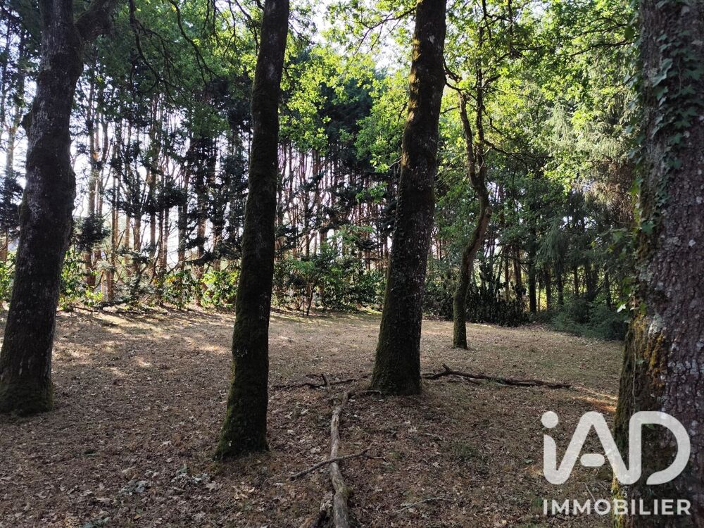 Vente Maison Vente Maison/villa 6 pièces Bains-sur-oust