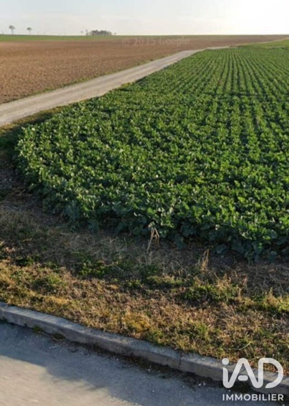 Vente Terrain Vente Terrain agricole 1 476 m&sup2; Mesnil-sellières