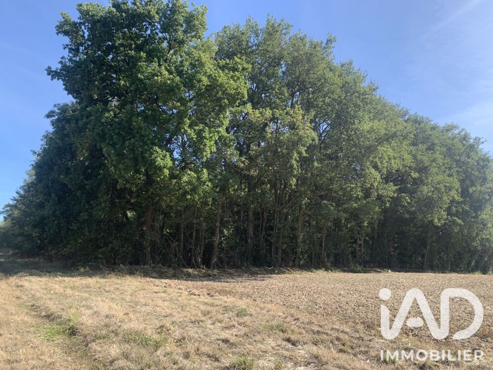 Vente Terrain Vente Terrain 33 331 m&sup2; Baudres
