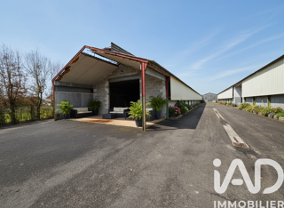  Appartement � vendre 5 pi�ces 2280 m�