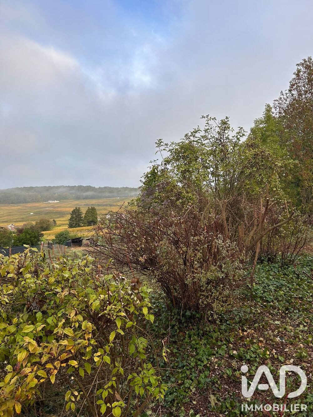 Vente Terrain Vente Terrain 1 056 m&sup2; Champillon
