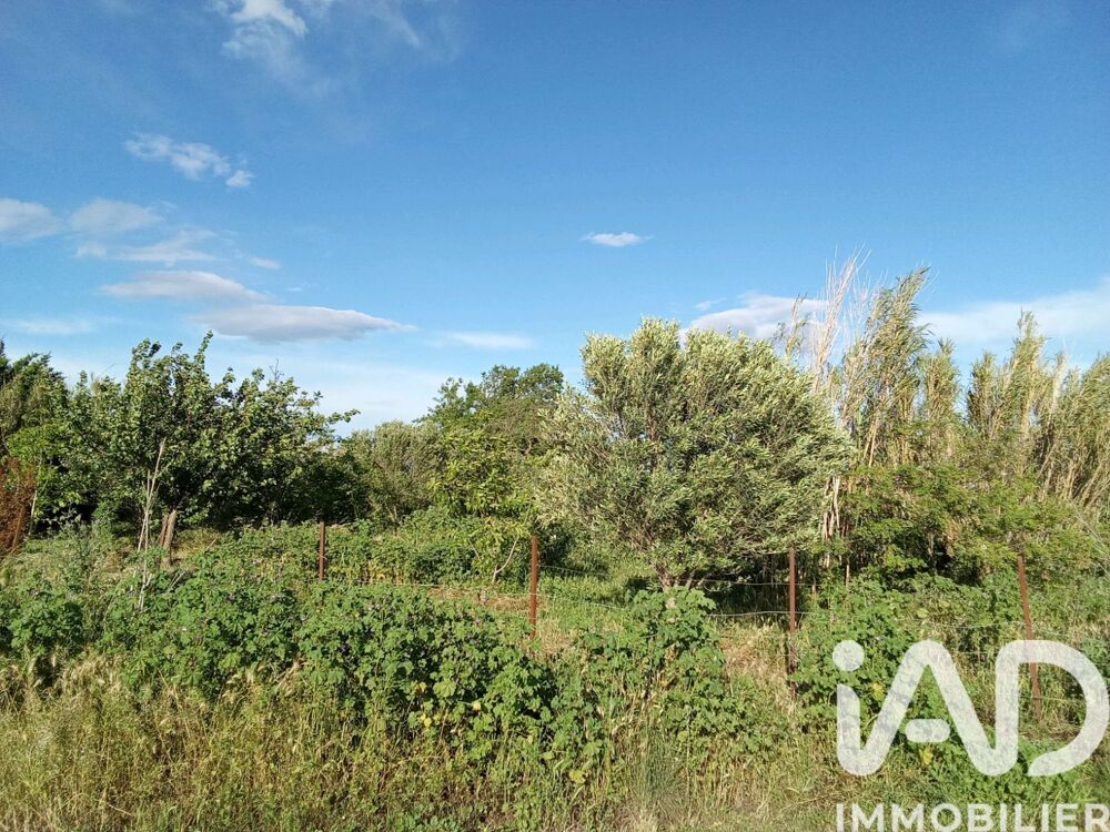 Vente Terrain Vente Terrain agricole 6 440 m&sup2; Nézignan-l'Évêque