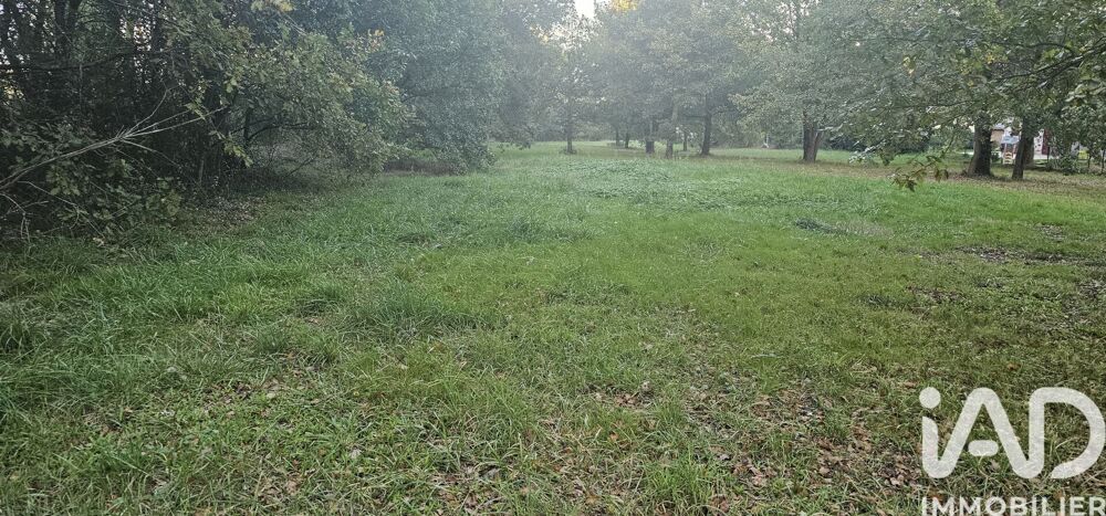 Vente Terrain Vente Terrain 2 207 m&sup2; Mauressac