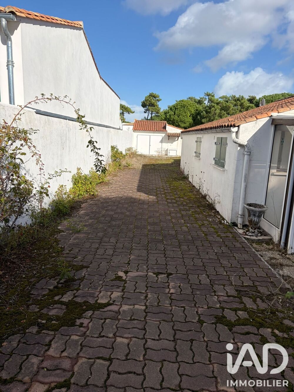à vendre  Maison Le Bois-Plage-en-Ré (17580)