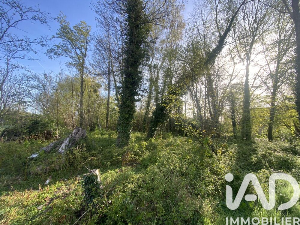 Vente Terrain Vente Terrain à bâtir 1 226 m&sup2; Mittainville