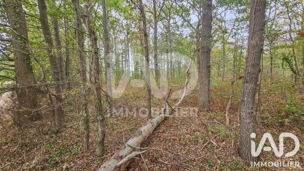 Vente Terrain Vente Terrain 60 000 m&sup2; Chailly