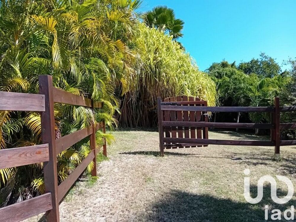 à vendre  Maison Saint-François (97118)