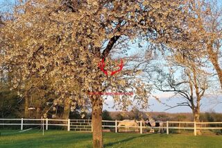  Maison � vendre 9 pi�ces 330 m�