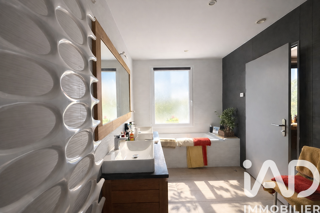 Maison à vendre 12 pièces 339 m²