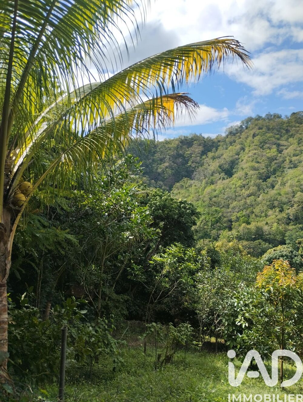 Vente Terrain Vente Terrain à bâtir 1 100 m&sup2; Le morne-vert