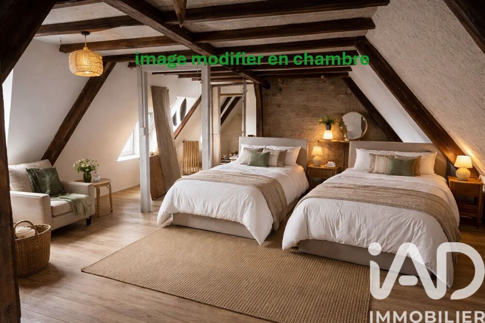 � vendre  Maison Neuill�-le-Lierre (37380)