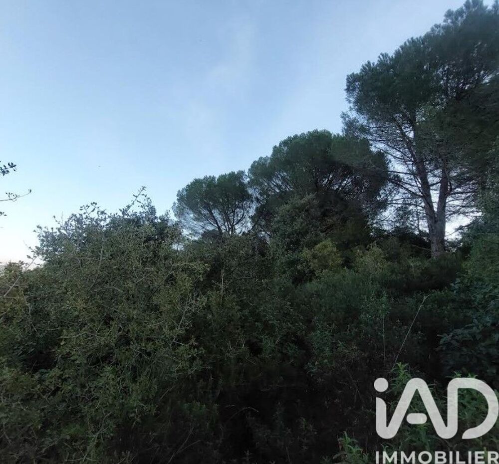 Vente Terrain Vente Terrain 4 965 m&sup2; Générac