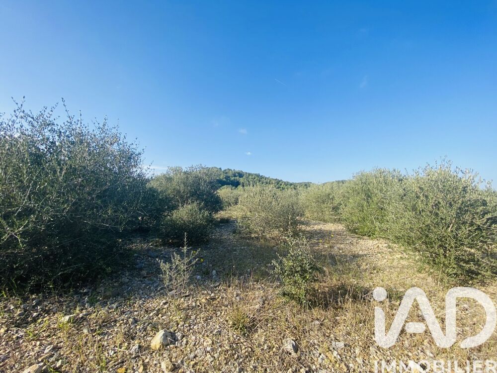 Vente Terrain Vente Terrain 4 910 m&sup2; Roquefort-des-corbieres