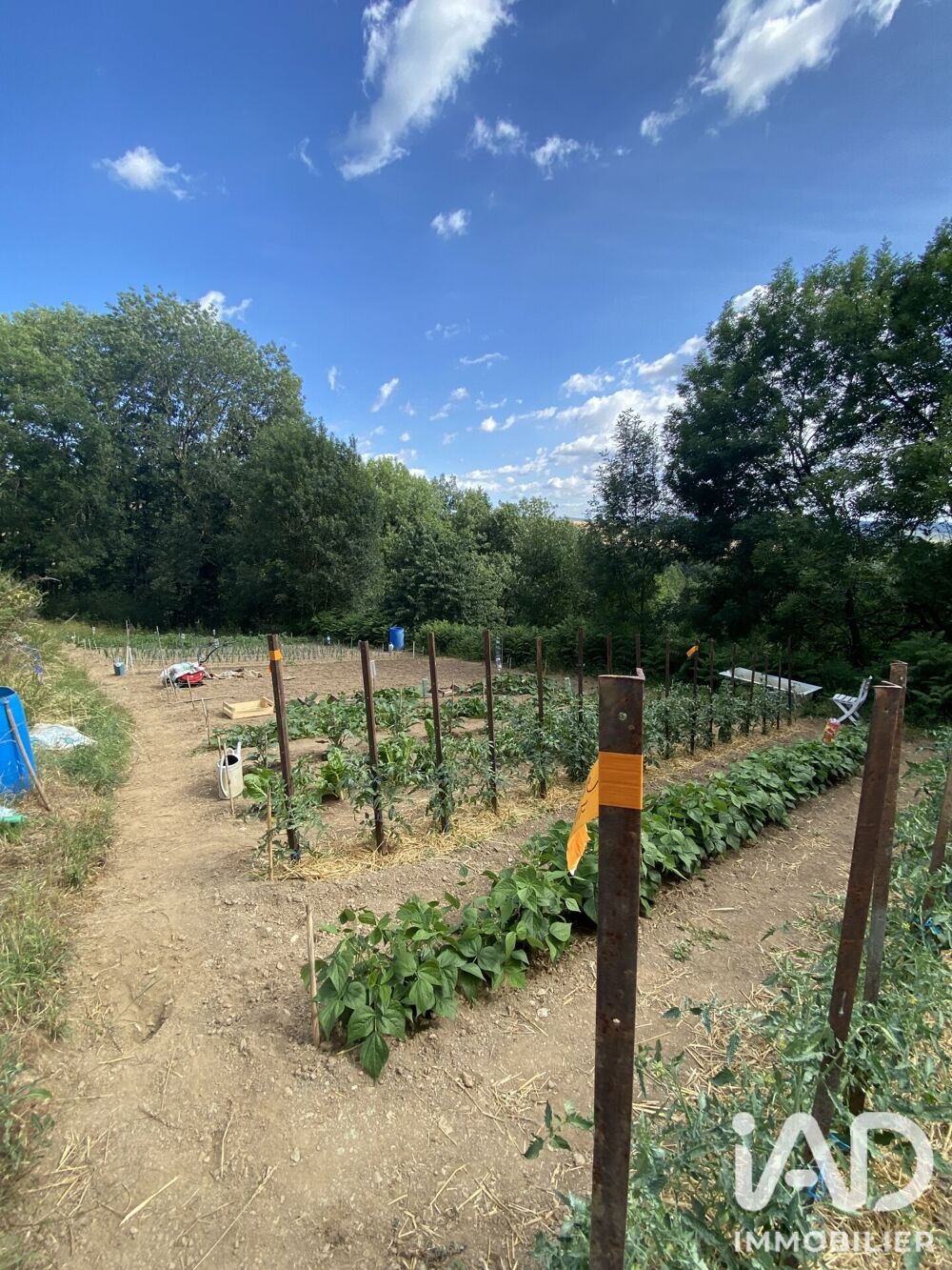 Vente Maison Vente Maison de campagne 6 pièces Le masnau-massuguiès
