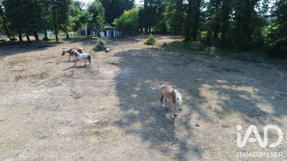 à vendre  Maison Saubrigues (40230)